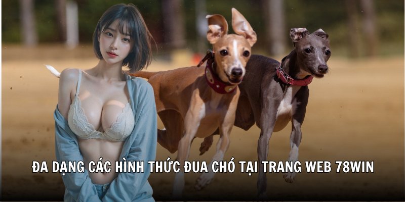 Đa dạng các hình thức đua chó tại trang web 78Win